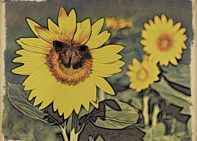 Nostalgia Sunflower, Fine Art Print