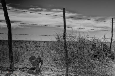 Western Fences, Fine Art Print